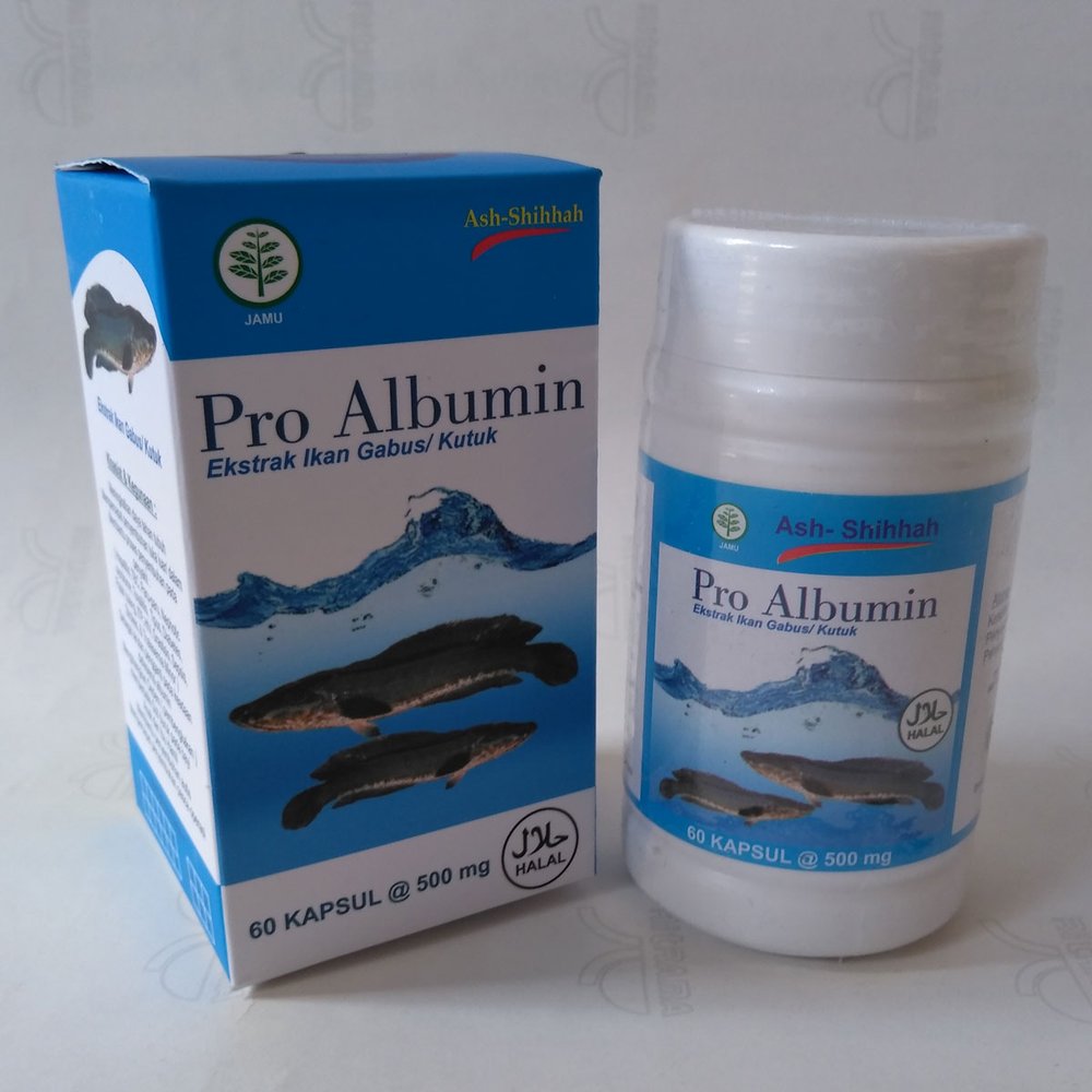 manfaat pro albumin ikan gabus