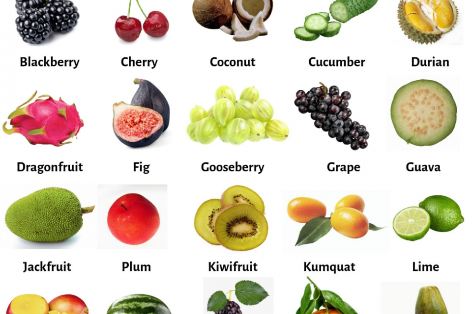 buah inggris nama buahan beserta sayuran membacanya arab makanan populer minuman markisa englishadmin